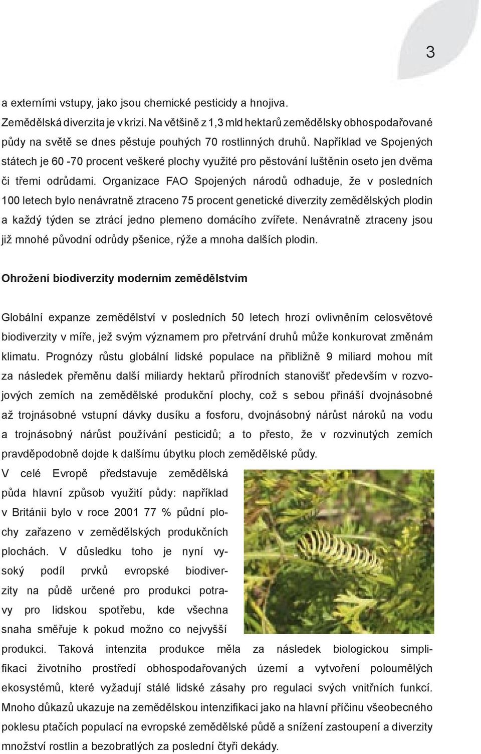 Například ve Spojených státech je 60-70 procent veškeré plochy využité pro pěstování luštěnin oseto jen dvěma či třemi odrůdami.