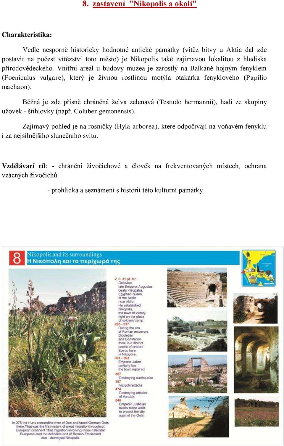 Běţná je zde přísně chráněná ţelva zelenavá (Testudo hermannii), hadi ze skupiny uţovek - štíhlovky (např. Coluber gemonensis).