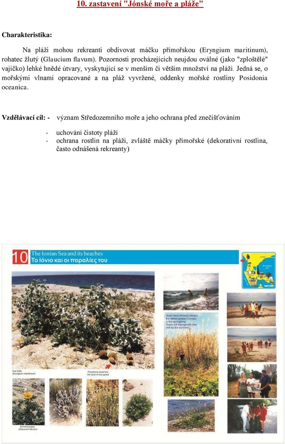 Jedná se, o mořskými vlnami opracované a na pláţ vyvrţené, oddenky mořské rostliny Posidonia oceanica.
