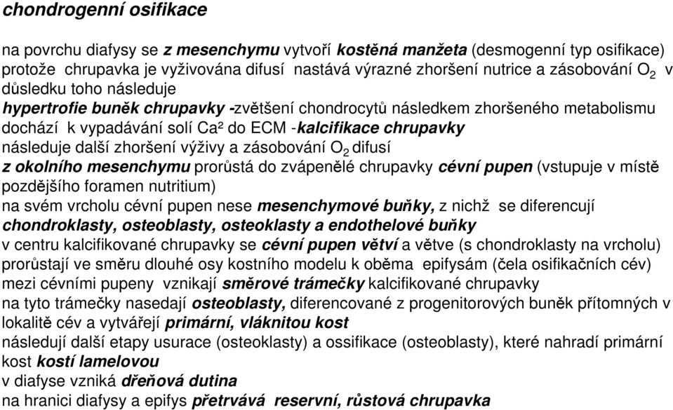 a zásobování O 2 difusí z okolního mesenchymu prorůstá do zvápenělé chrupavky cévní pupen (vstupuje v místě pozdějšího foramen nutritium) na svém vrcholu cévní pupen nese mesenchymové buňky, z nichž