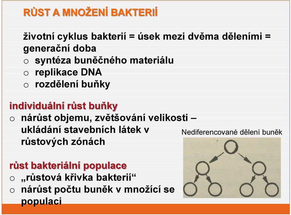 objemu, zvětšování velikosti ukládání stavebních látek v růstových zónách růst bakteriální