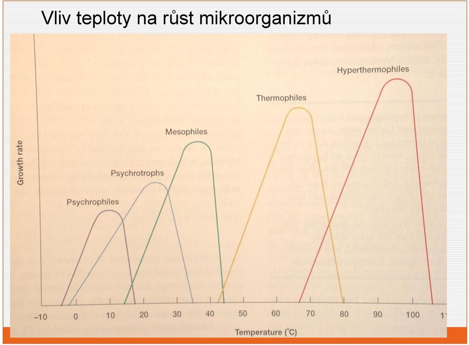 na růst