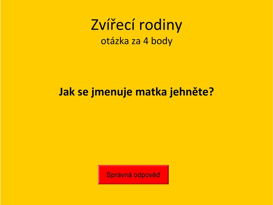 Jak se jmenuje