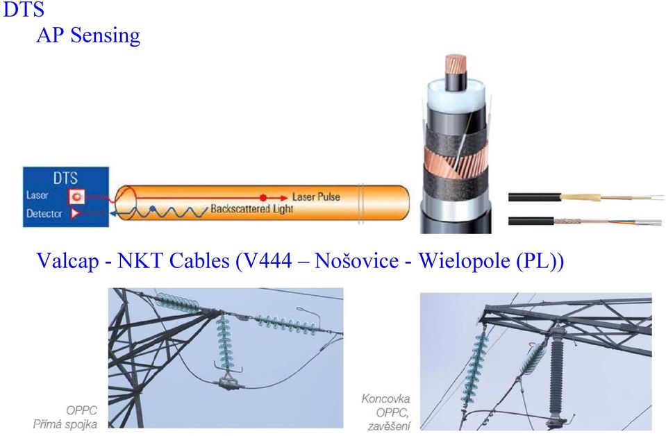 Cables (V444