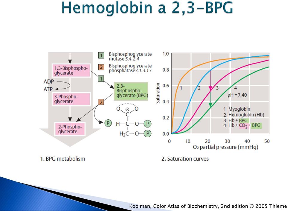 Biochemistry,