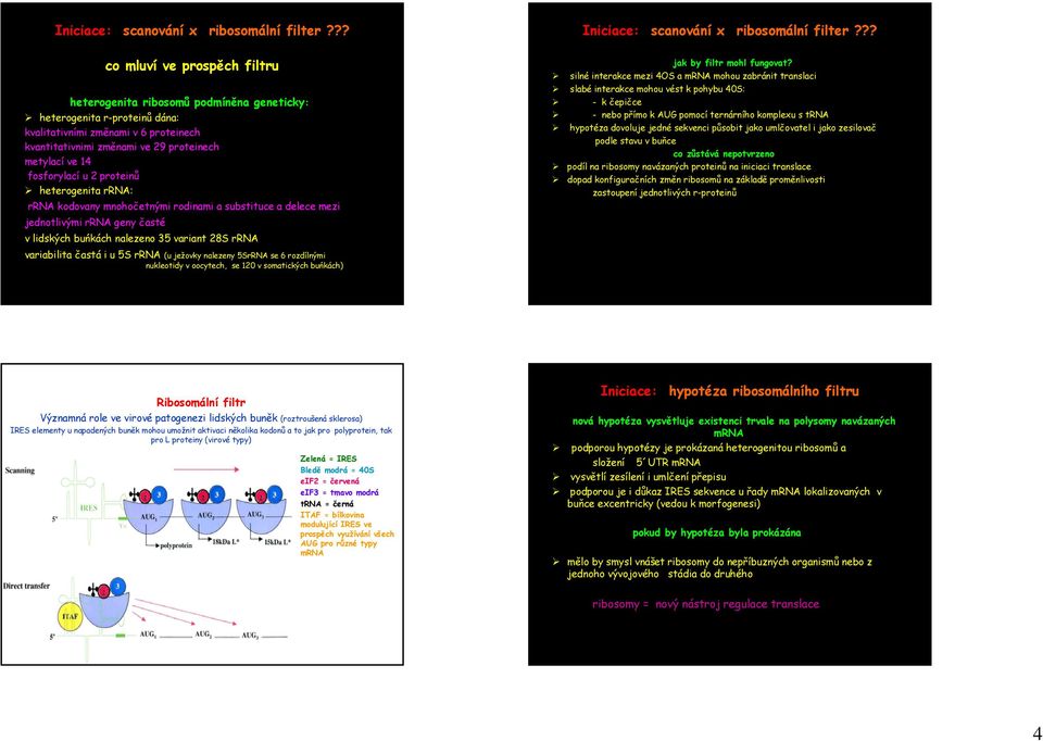 fosforylací u 2 proteinů heterogenita rrna: rrna kodovany mnohočetnými rodinami a substituce a delece mezi jednotlivými rrna geny časté v lidských buńkách nalezeno 35 variant 28S rrna jak by filtr