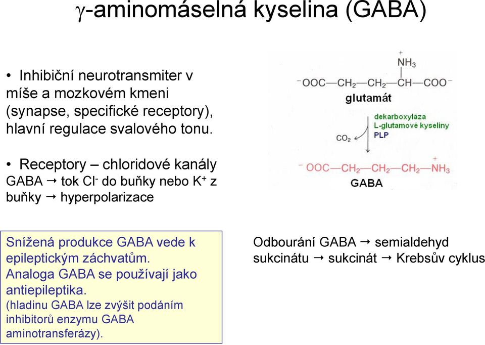 Receptory chloridové kanály GABA tok Cl - do buňky nebo K + z buňky hyperpolarizace Snížená produkce GABA vede k