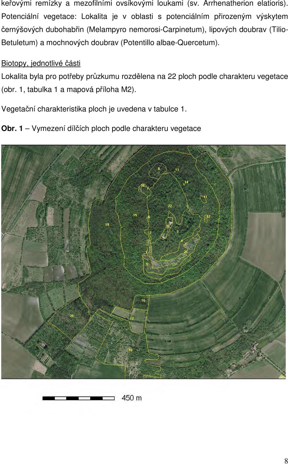 lipových doubrav (Tilio- Betuletum) a mochnových doubrav (Potentillo albae-quercetum).