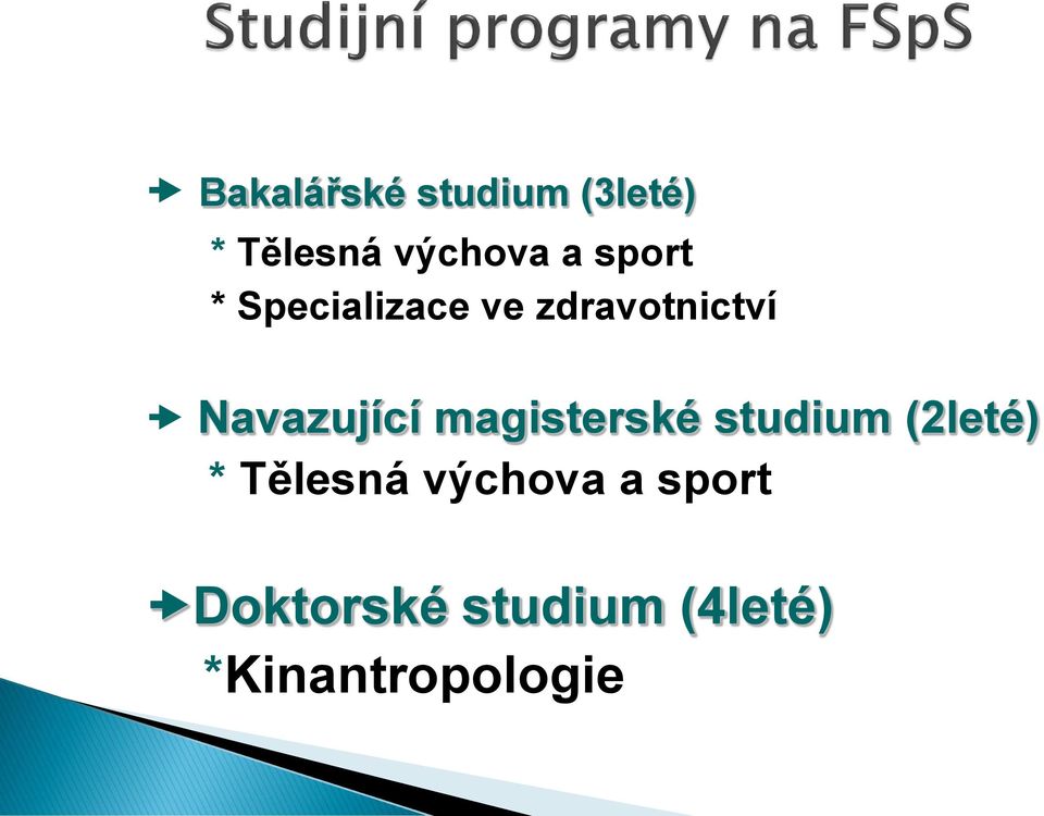 Navazující magisterské studium (2leté) *