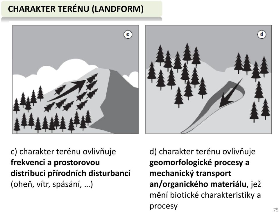 charakter terénu ovlivňuje geomorfologické procesy a mechanický