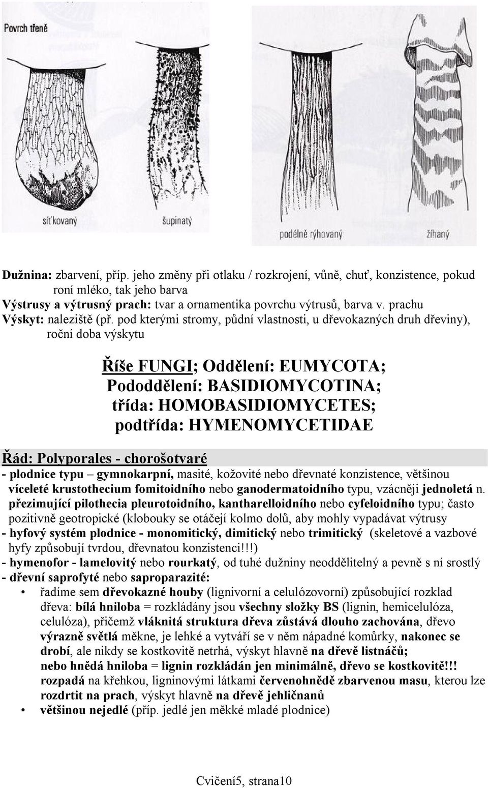 pod kterými stromy, půdní vlastnosti, u dřevokazných druh dřeviny), roční doba výskytu Říše FUNGI; Oddělení: EUMYCOTA; Pododdělení: BASIDIOMYCOTINA; třída: HOMOBASIDIOMYCETES; podtřída: