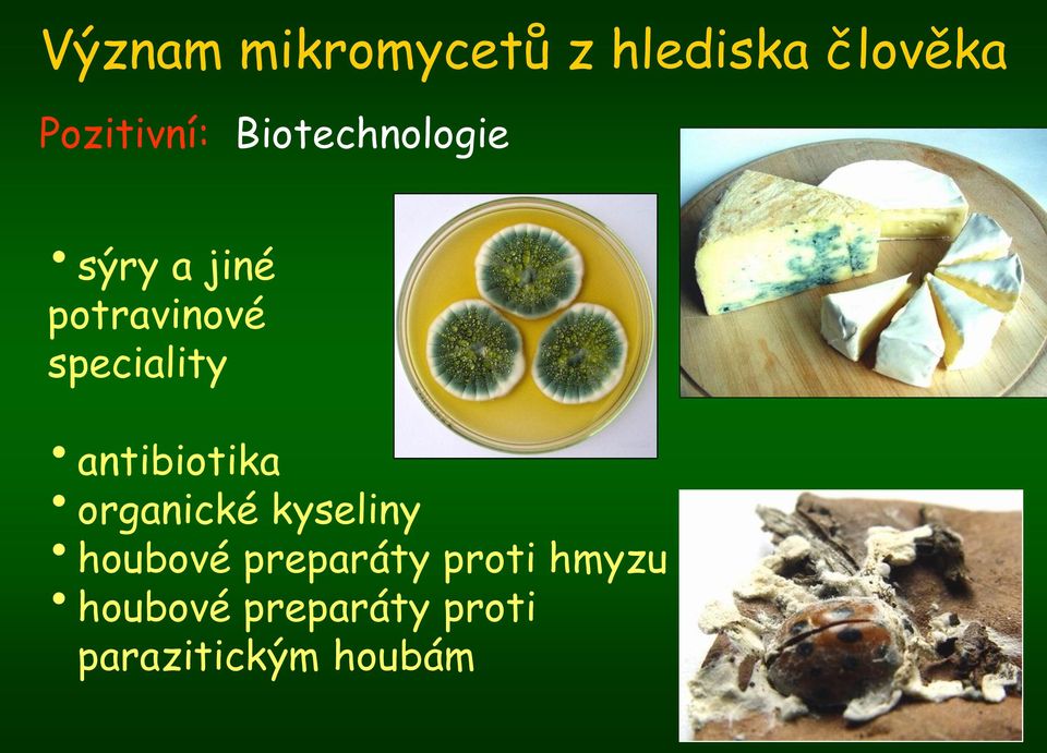 antibiotika organické kyseliny houbové preparáty