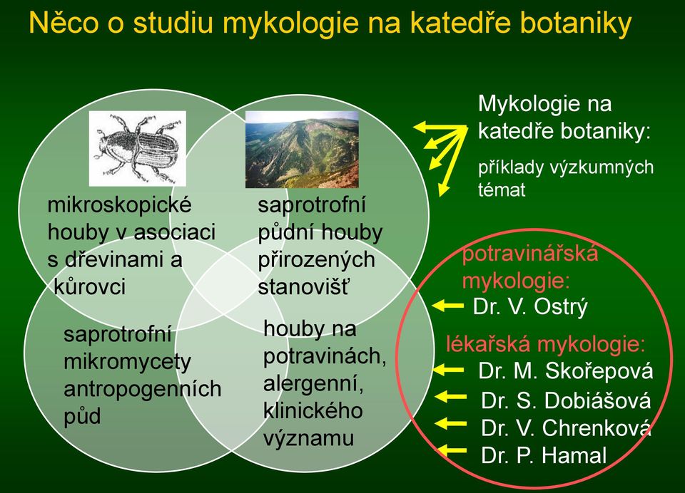 potravinách, alergenní, klinického významu Mykologie na katedře botaniky: příklady výzkumných témat