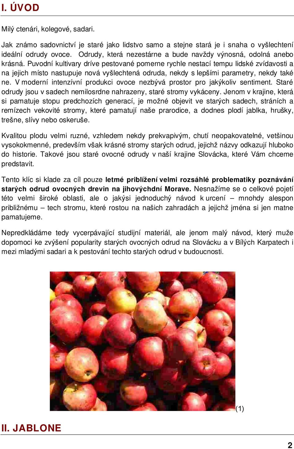 Puvodní kultivary dríve pestované pomerne rychle nestací tempu lidské zvídavosti a na jejich místo nastupuje nová vyšlechtená odruda, nekdy s lepšími parametry, nekdy také ne.