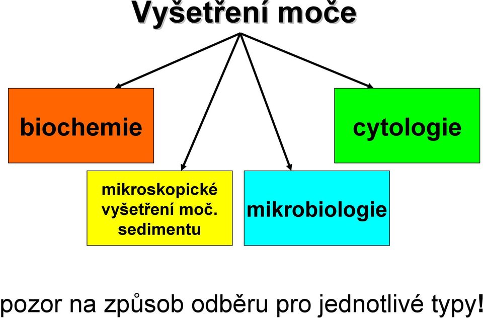 sedimentu cytologie