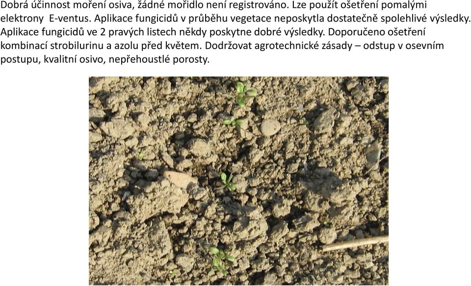 Aplikace fungicidů v průběhu vegetace neposkytla dostatečně spolehlivé výsledky.