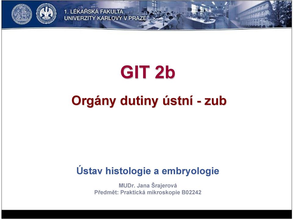 embryologie MUDr.