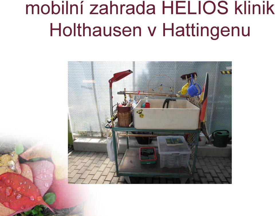 HELIOS klinik