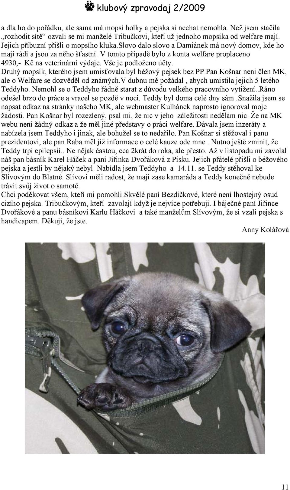 V tomto případě bylo z konta welfare proplaceno 4930,- Kč na veterinární výdaje. Vše je podloženo účty. Druhý mopsík, kterého jsem umisťovala byl béžový pejsek bez PP.