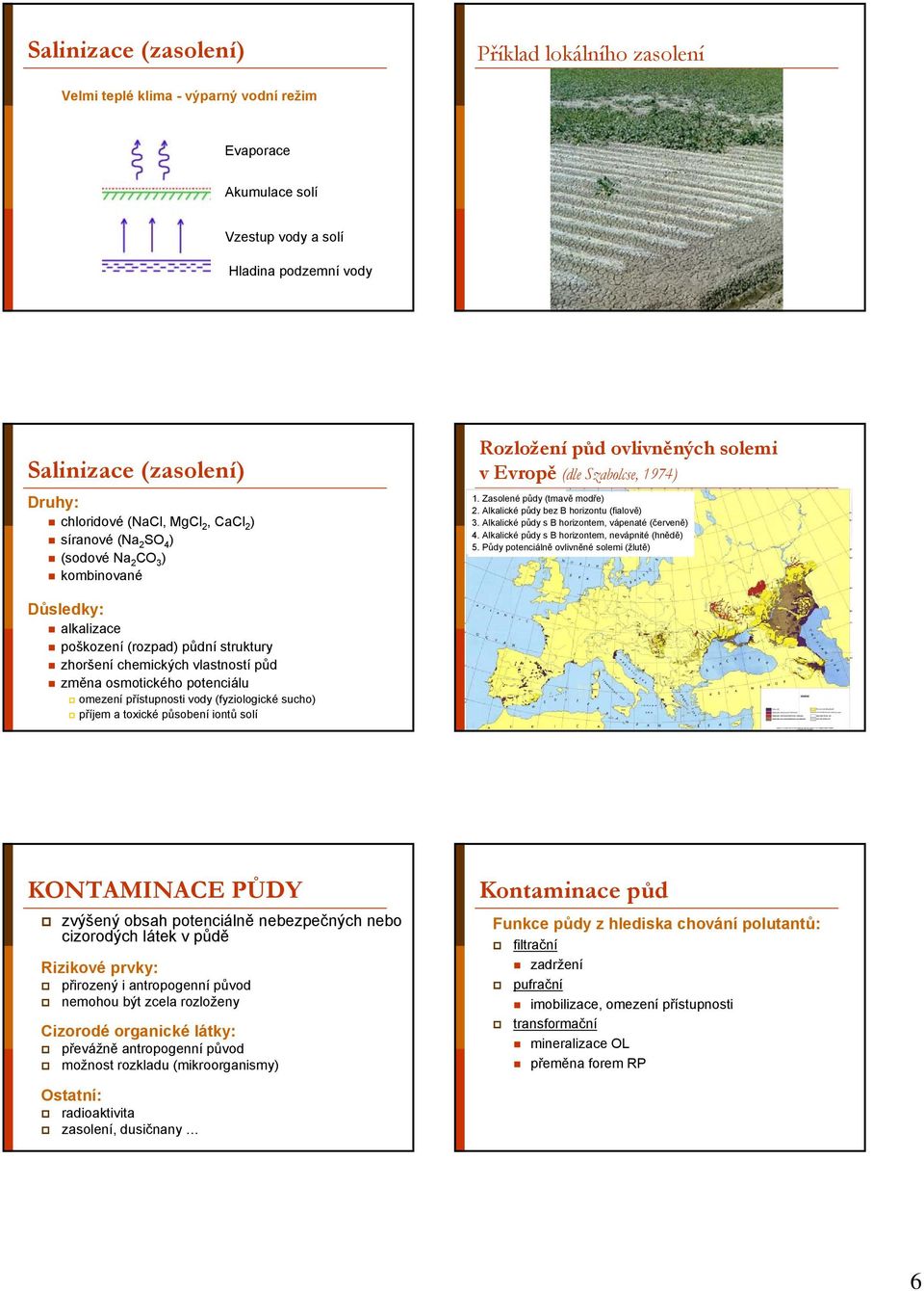 Alkalické půdy bez B horizontu (fialově) 3. Alkalické půdy s B horizontem, vápenaté (červeně) 4. Alkalické půdy s B horizontem, nevápnité (hnědě) 5.