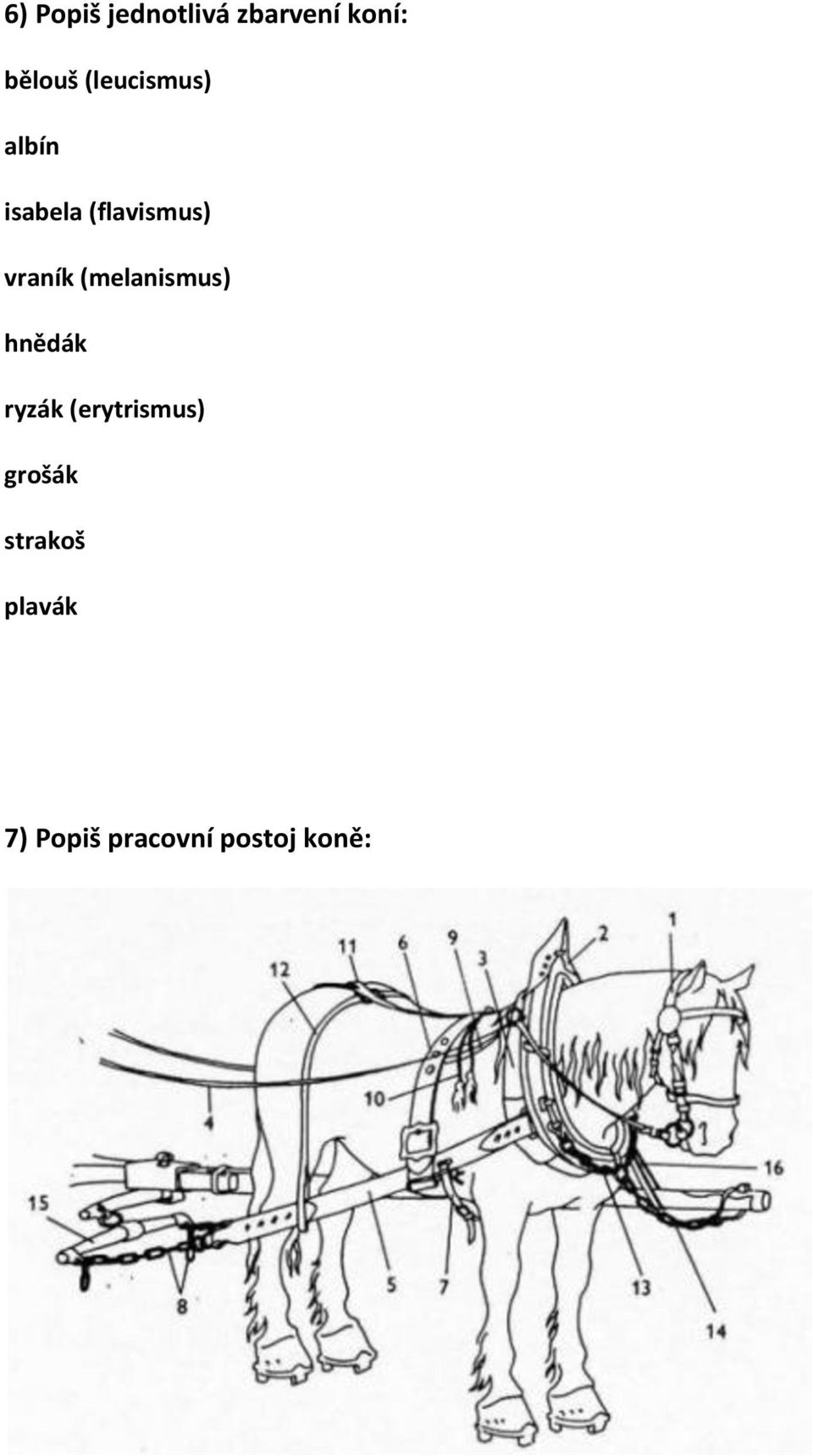 (melanismus) hnědák ryzák (erytrismus)