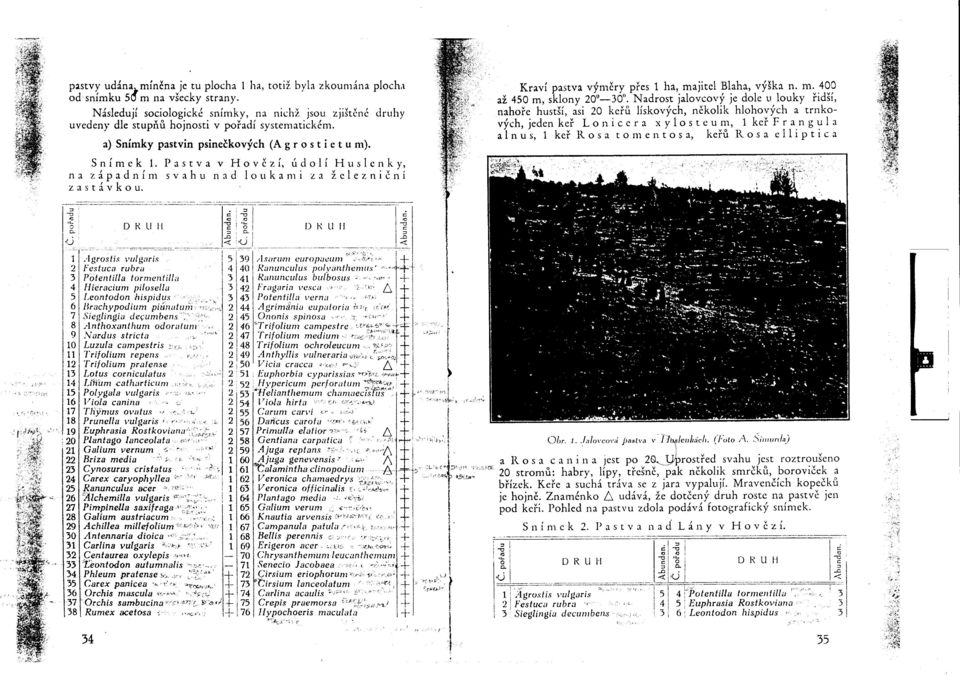 Pastva v Hovezí, údolí Huslenky, na západním svahu nad loukami za železnicní z a stá v k o u. 'u o c: o. 'D ',2 -o c: ' [) R L -<t é -<t -o Kraví pastva výmery pres 1 ha, ma