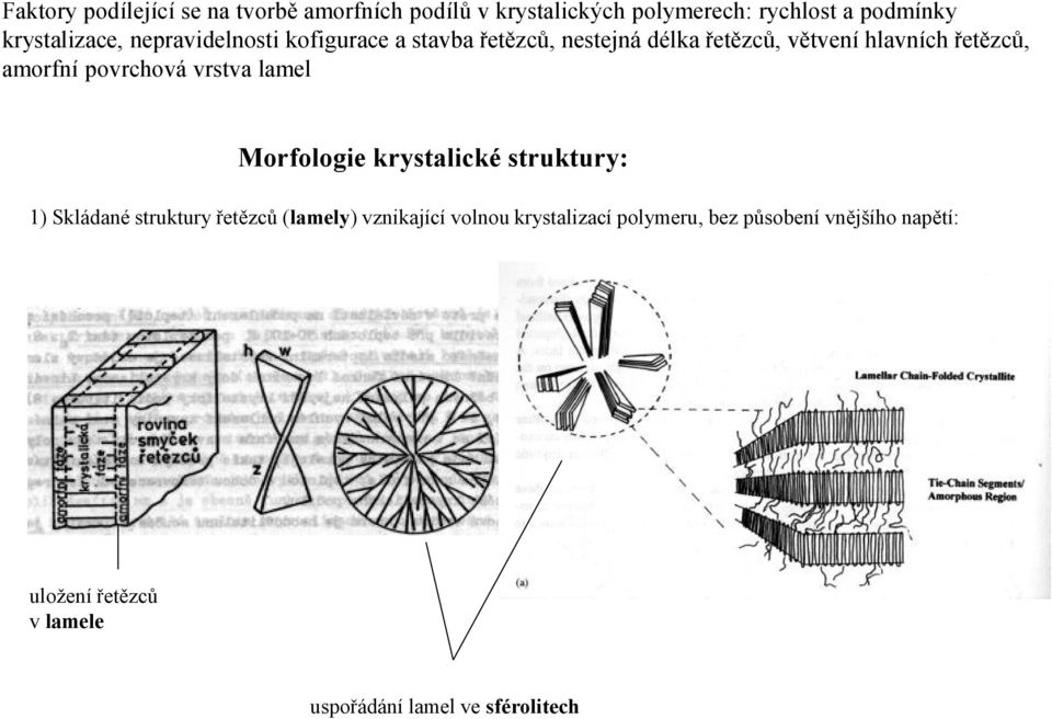 amorfní povrchová vrstva lamel Morfologie krystalické struktury: 1) Skládané struktury řetězců (lamely)