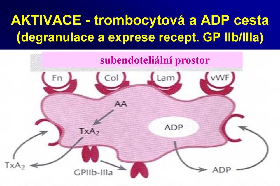 exprese recept.