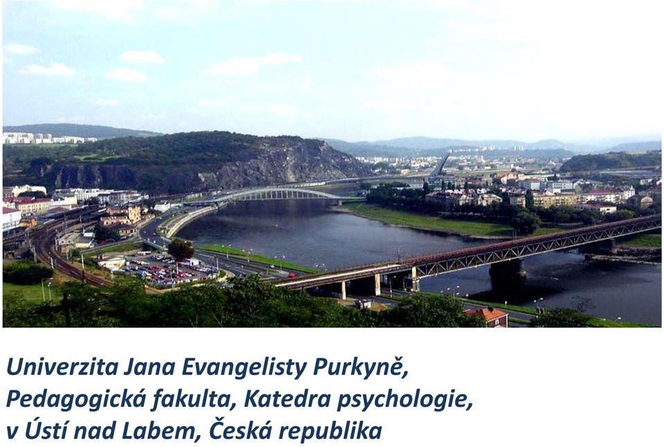 fakulta, Katedra