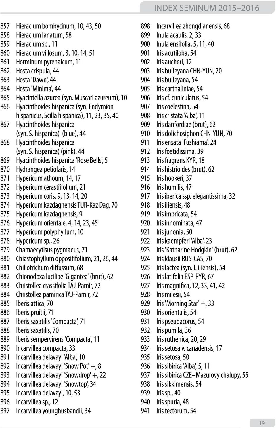 Muscari azureum), 10 866 Hyacinthoides hispanica (syn. Endymion hispanicus, Scilla hispanica), 11, 23, 35, 40 867 Hyacinthoides hispanica (syn. S. hispanica) (blue), 44 868 Hyacinthoides hispanica (syn.