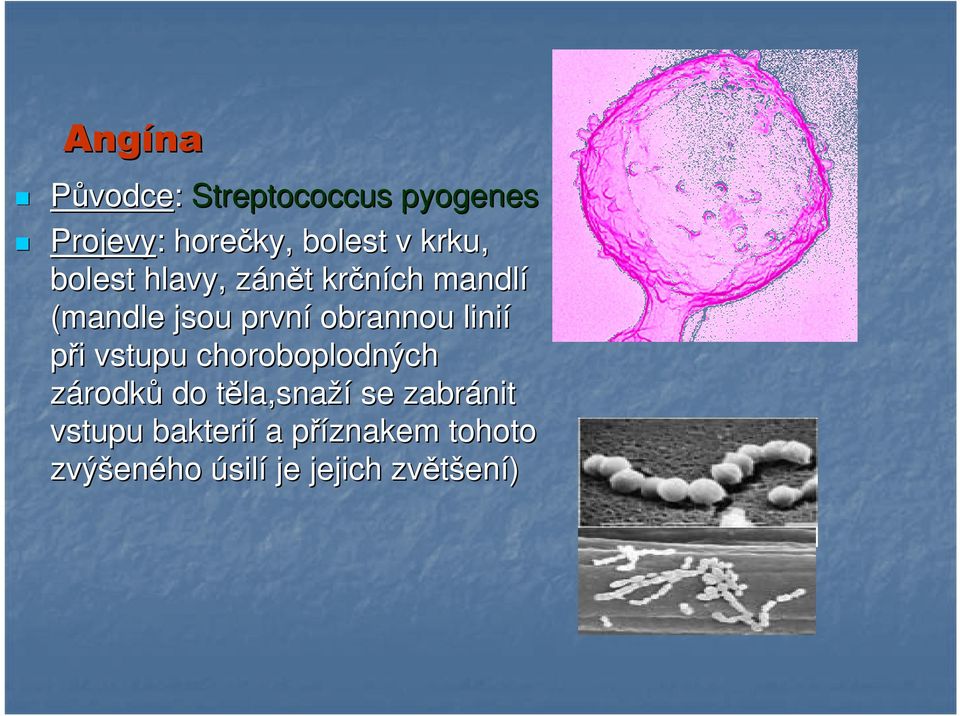 linií při i vstupu choroboplodných zárodků do těla,snat la,snaží se