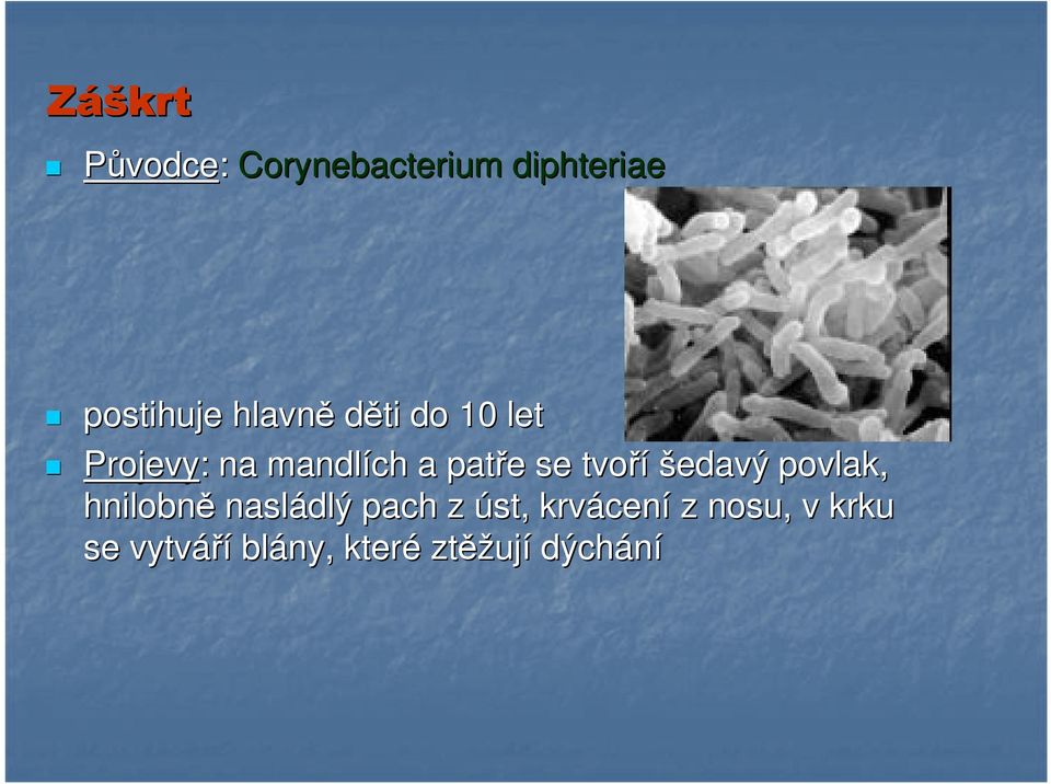 tvoří šedavý povlak, hnilobně nasládlý pach z úst, krvácen