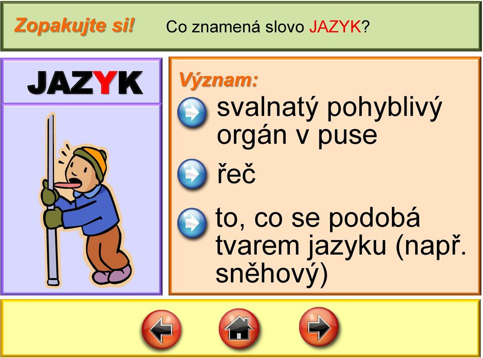 JAZYK Význam: svalnatý pohblvý