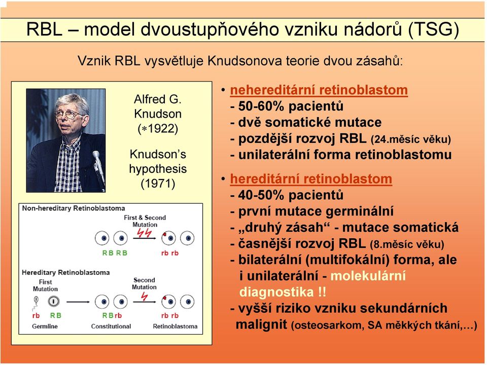 měsíc věku) - unilaterální forma retinoblastomu hereditární retinoblastom - 40-50% pacientů - první mutace germinální - druhý zásah - mutace