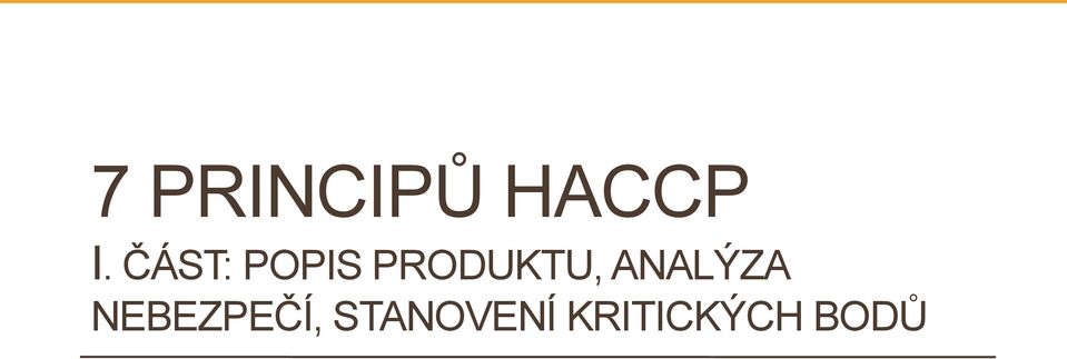 ANALÝZA NEBEZPEČÍ,