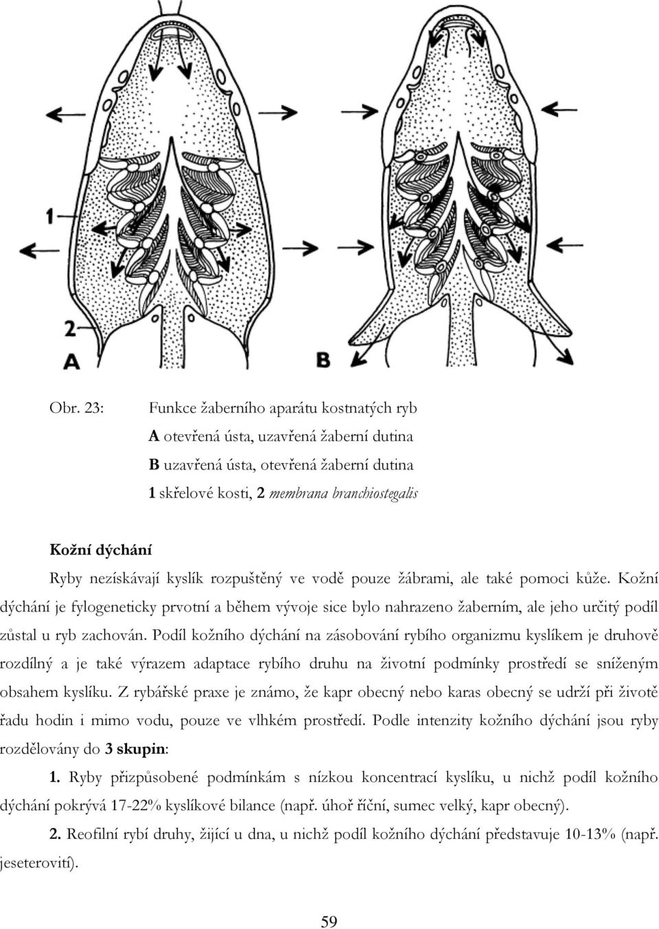 Kožní dýchání je fylogeneticky prvotní a během vývoje sice bylo nahrazeno žaberním, ale jeho určitý podíl zůstal u ryb zachován.