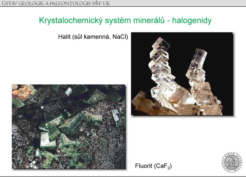 halogenidy Halit (sůl