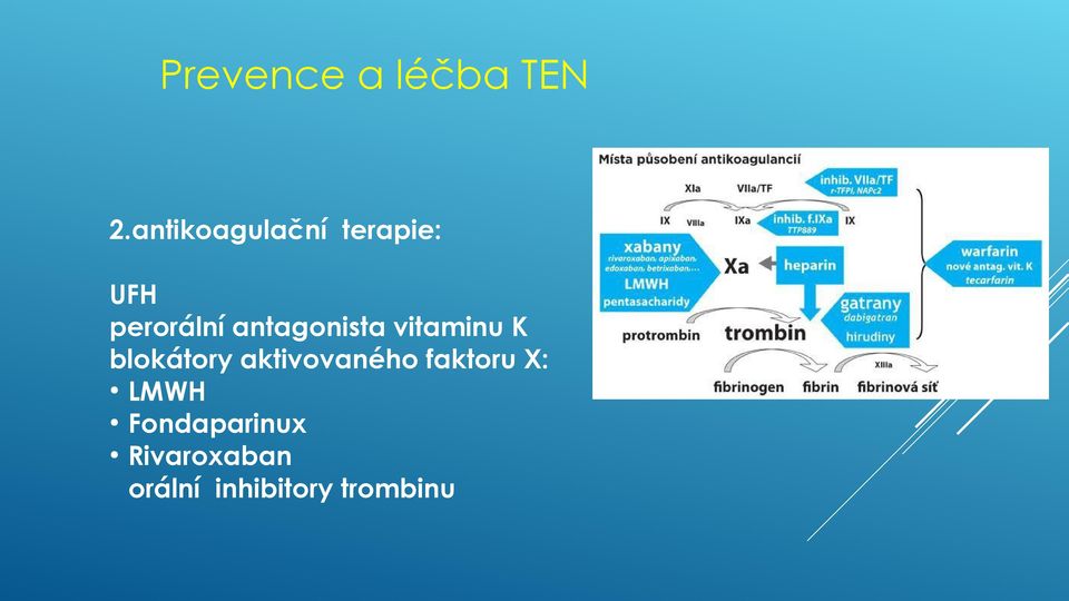 antagonista vitaminu K blokátory