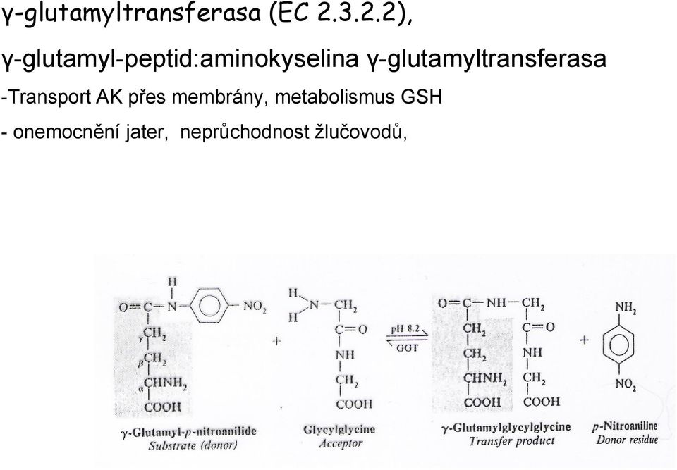 γ-glutamyltransferasa -Transport AK přes