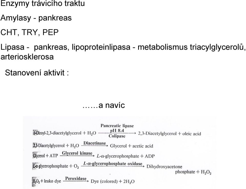 lipoproteinlipasa - metabolismus