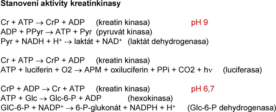 luciferin + O2 APM + oxiluciferin + PPi + CO2 + hν (luciferasa) CrP + ADP Cr + ATP (kreatin kinasa) ph
