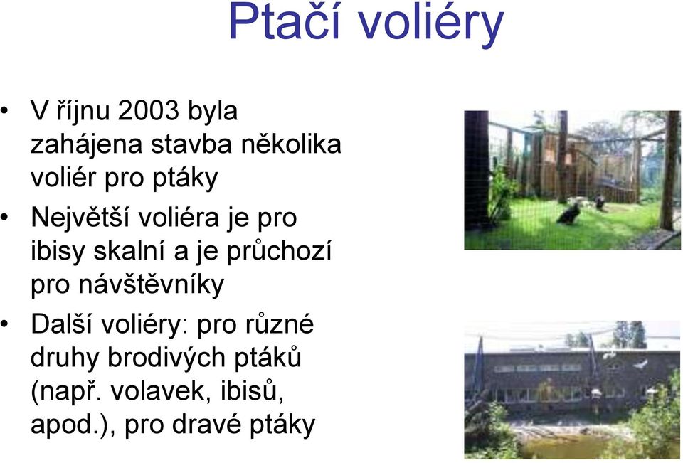 průchozí pro návštěvníky Další voliéry: pro různé druhy