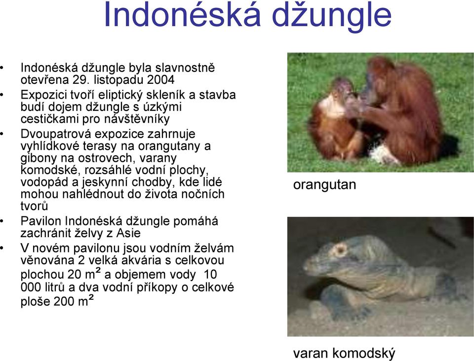 terasy na orangutany a gibony na ostrovech, varany komodské, rozsáhlé vodní plochy, vodopád a jeskynní chodby, kde lidé mohou nahlédnout do života