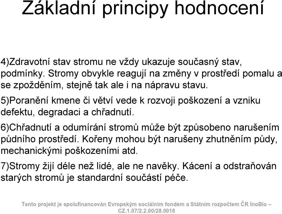 5)Poranění kmene či větví vede k rozvoji poškození a vzniku defektu, degradaci a chřadnutí.