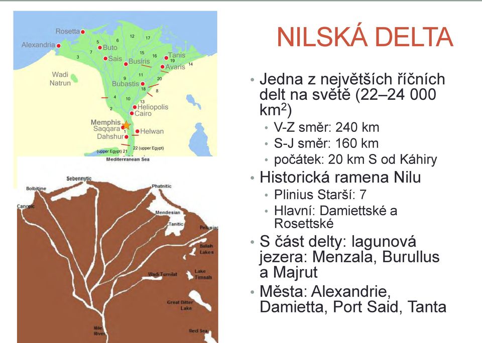 Nilu Plinius Starší: 7 Hlavní: Damiettské a Rosettské S část delty: lagunová