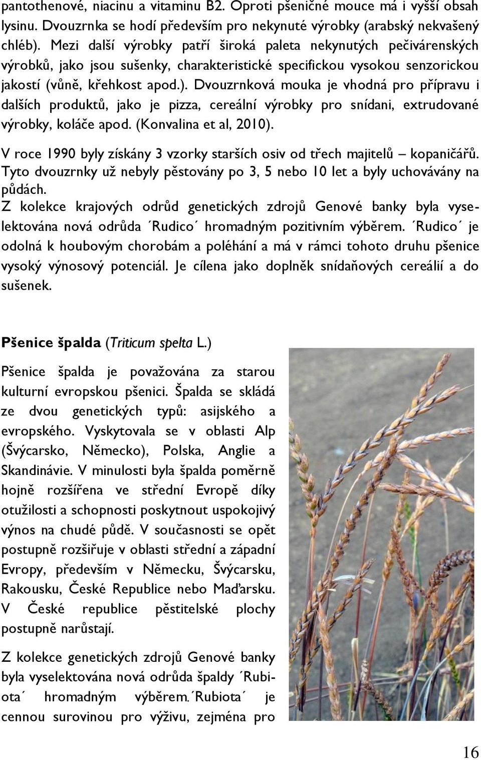Dvouzrnková mouka je vhodná pro přípravu i dalších produktů, jako je pizza, cereální výrobky pro snídani, extrudované výrobky, koláče apod. (Konvalina et al, 2010).