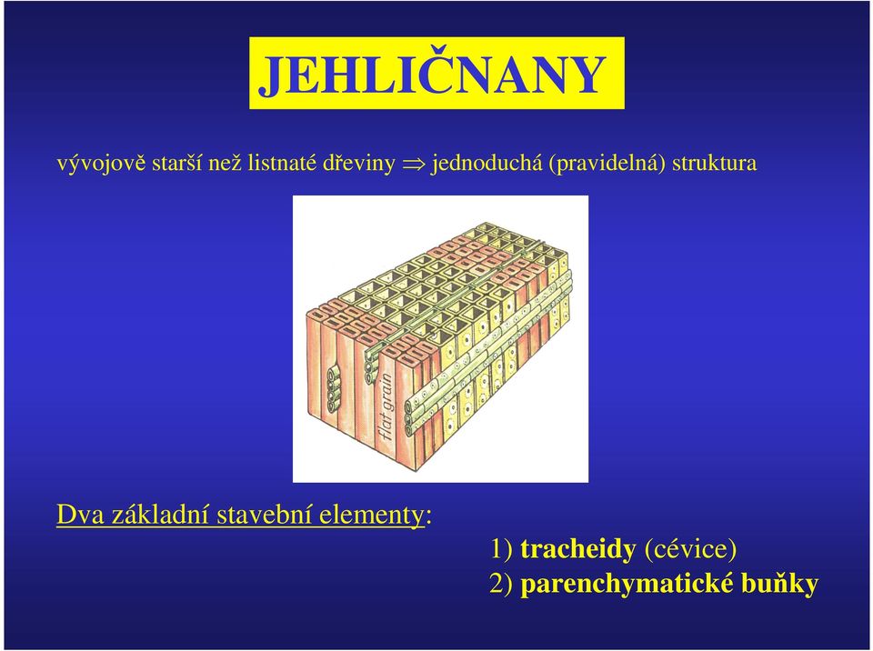struktura Dva základní stavební