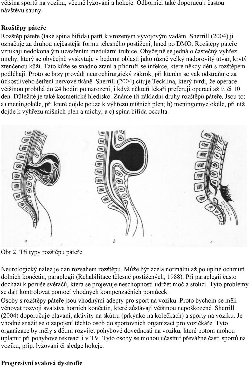 Obyčejně se jedná o částečný výhřez míchy, který se obyčejně vyskytuje v bederní oblasti jako různě velký nádorovitý útvar, krytý ztenčenou kůží.