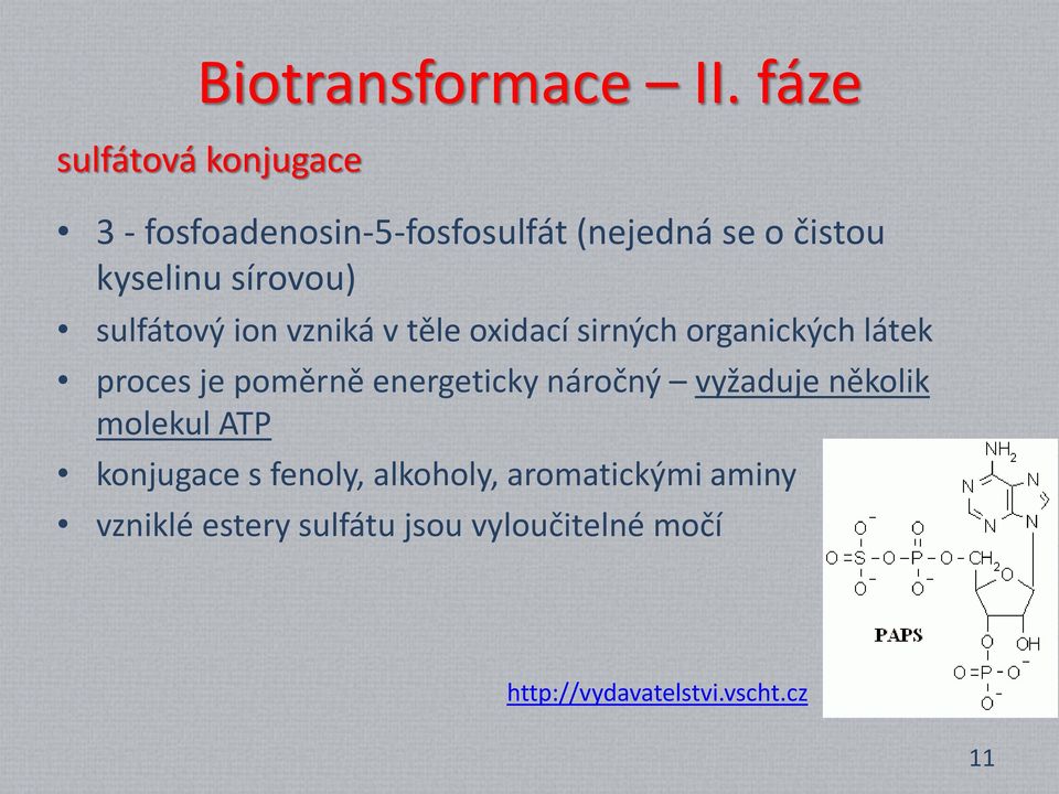 sírovou) sulfátový ion vzniká v těle oxidací sirných organických látek proces je poměrně