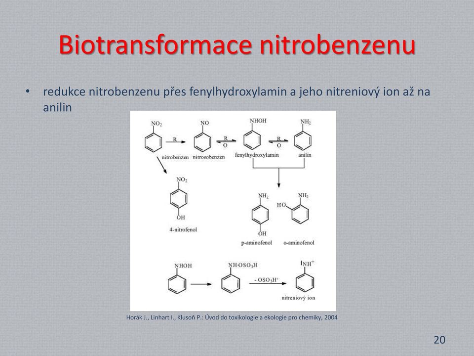 nitreniový ion až na anilin Horák J., Linhart I.